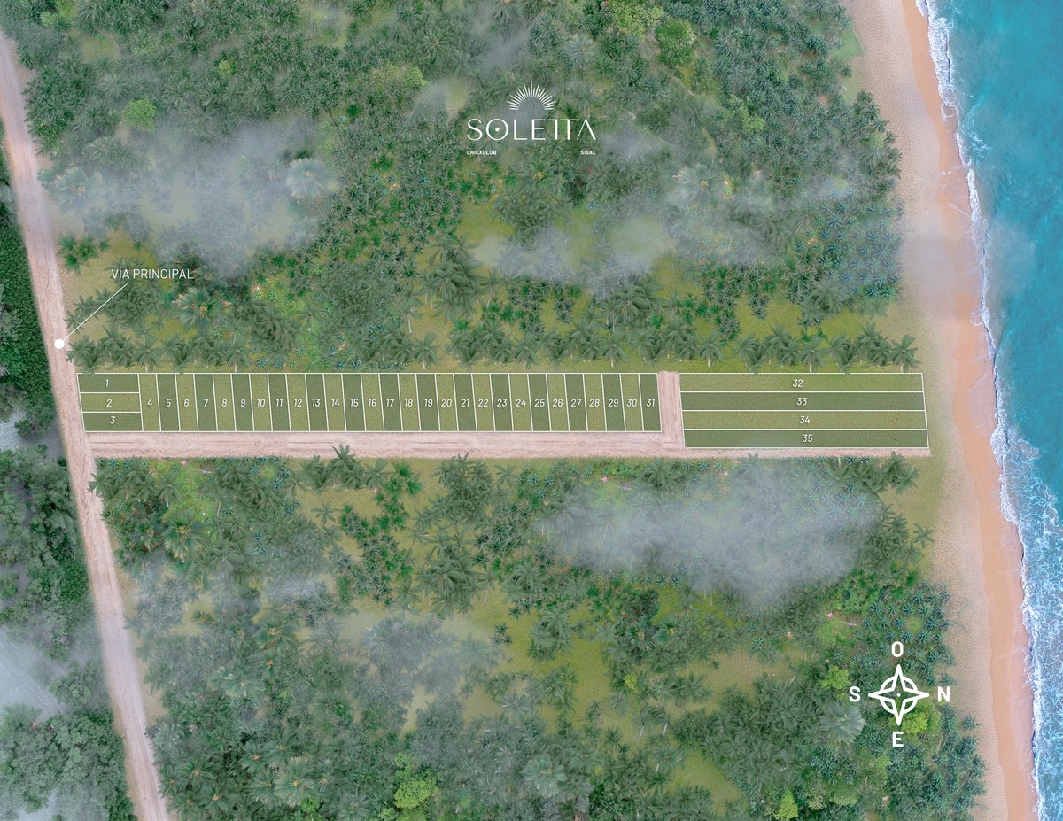 Aerial view of Soletta development with cleared land parcels, forest canopy, orange sandy beach, and turquoise ocean water