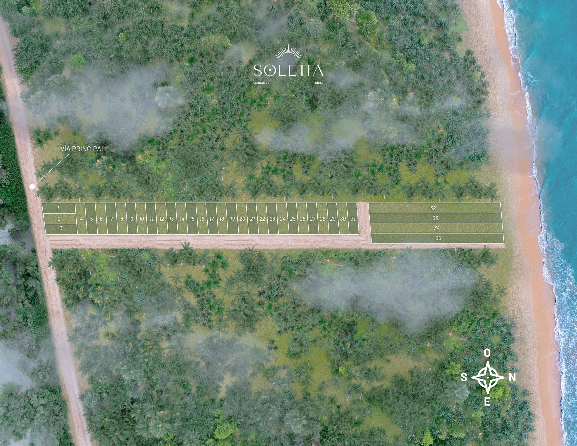 Aerial view of Soletta agricultural development with cleared plots carved into rainforest near a turquoise coastline
